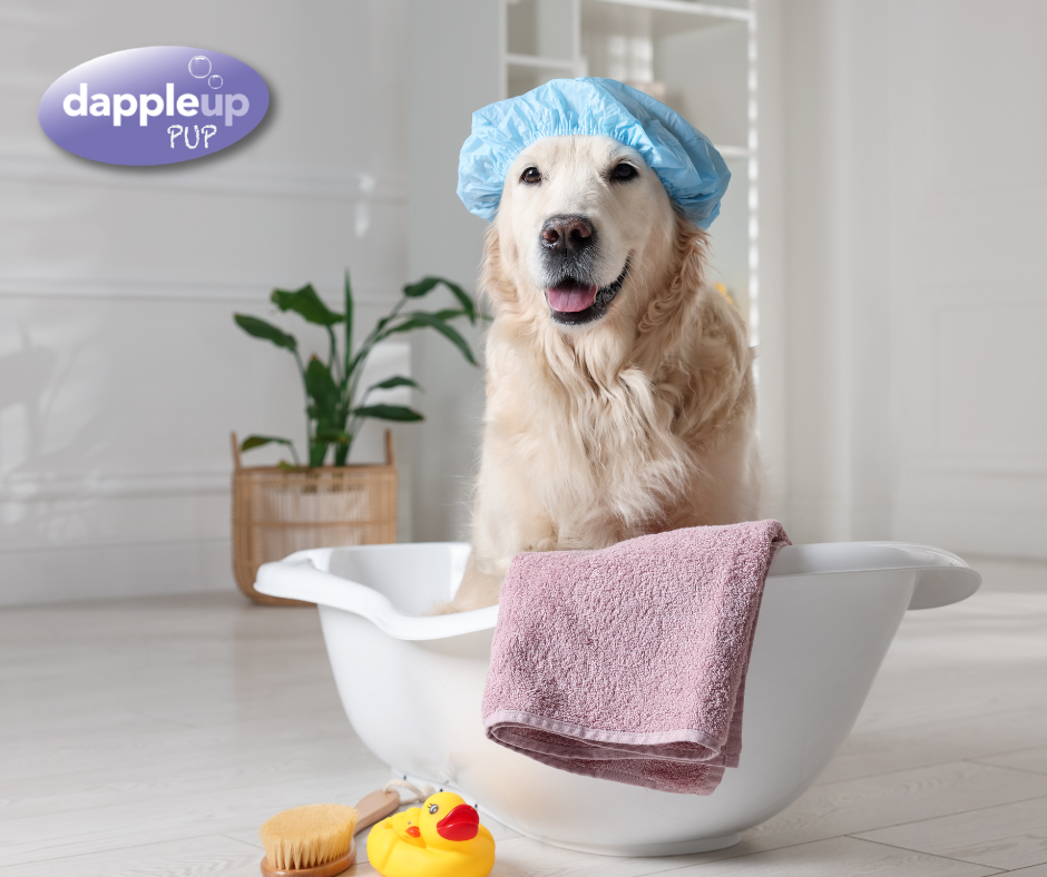 From Horse Stables to Your Home: Why Our Equestrian-Grade Shampoo Is Perfect for Your Dog